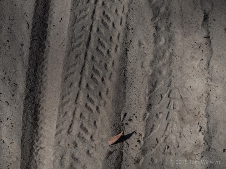 4.0" tread means riding rather than walking despite the load :-)